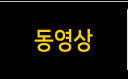동영상